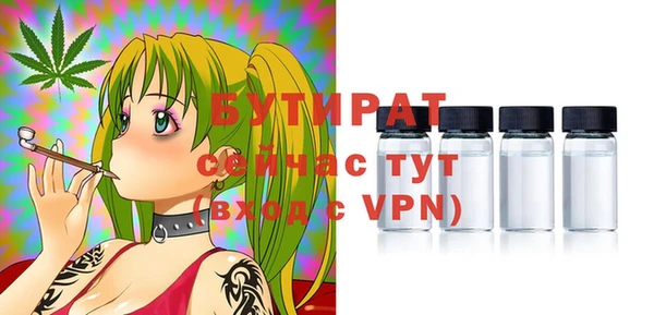 шишки Арсеньев