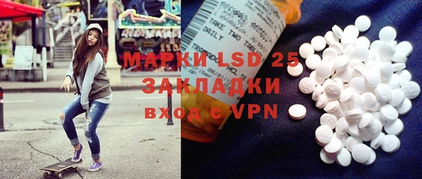 шишки Арсеньев