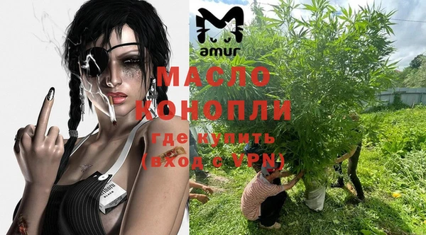 шишки Арсеньев