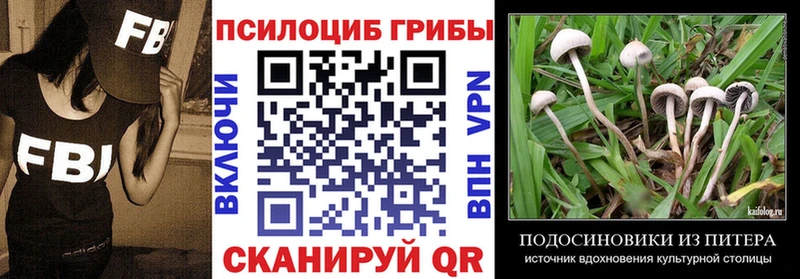 Псилоцибиновые грибы Psilocybe  хочу   kraken маркетплейс  Мамоново 